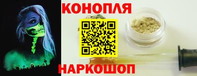 сатива Будённовск