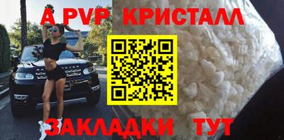 сатива Будённовск