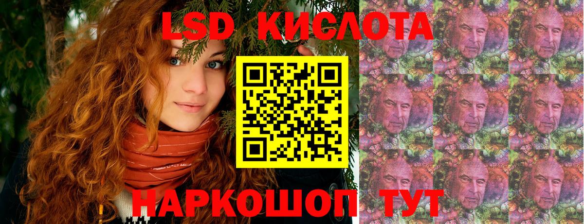где купить наркоту  Вход с VPN  Славгород  Марки NBOMe 1500мкг  Марки NBOMe 1500мкг  Марки N-bome 