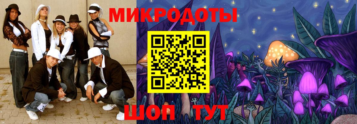 Славгород  Псилоцибиновые грибы Psilocybine cubensis  Вход с VPN 